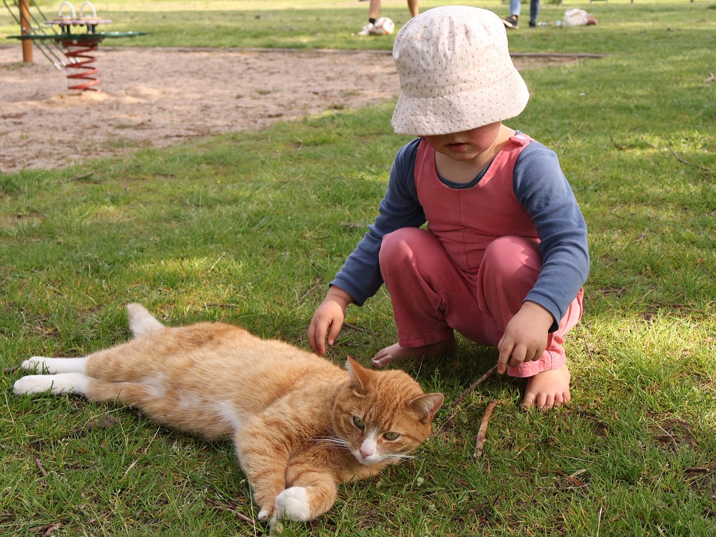 Fiene bij kat in Prinsenbeek